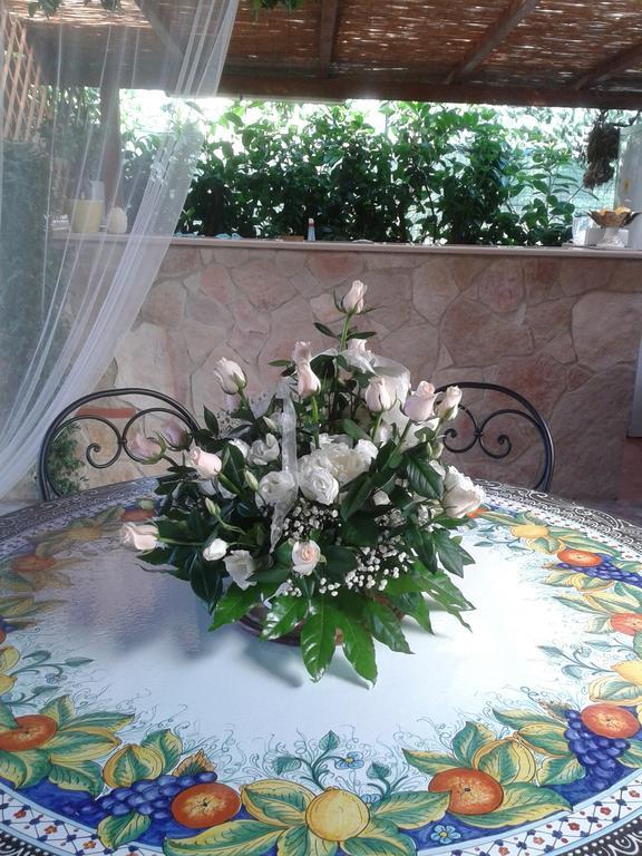 Viola Di Mare Rooms And Parking Термоли Екстериор снимка