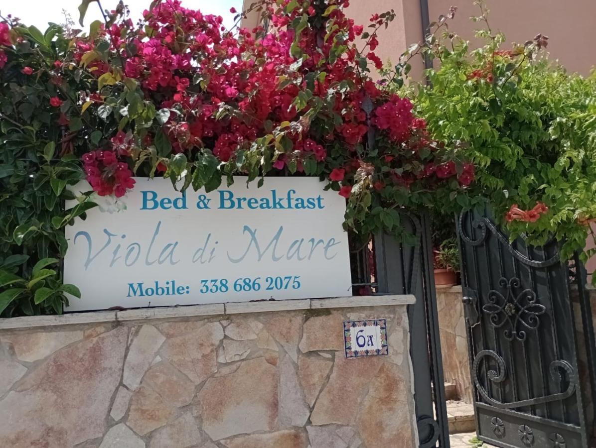 Viola Di Mare Rooms And Parking Термоли Екстериор снимка